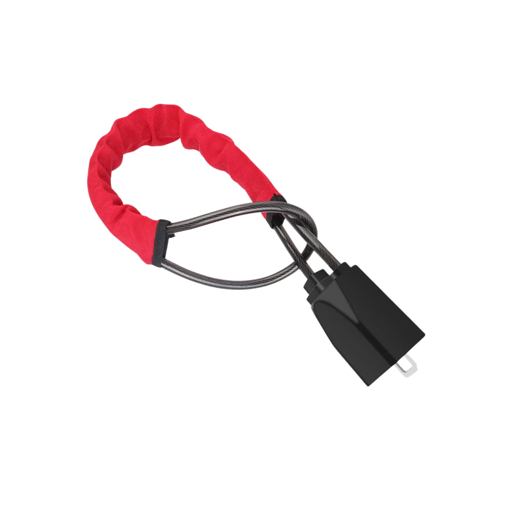 Dual Security Steering Wheel Lock
